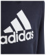 Adidas Παιδικό φούτερ U BL Hoodie